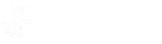 西安德伍拓自動(dòng)化傳動(dòng)系統(tǒng)有限公司logo